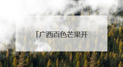 广西百色芒果开采上市 首日签约1.2亿元