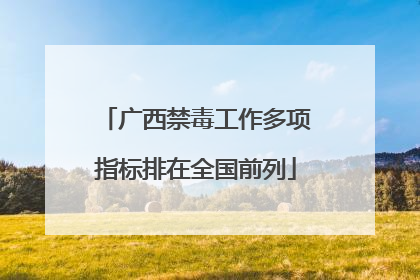 广西禁毒工作多项指标排在全国前列