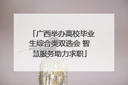 广西举办高校毕业生综合类双选会 智慧服务助力求职