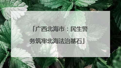 广西北海市：民生警务筑牢北海法治基石