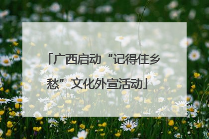 广西启动“记得住乡愁”文化外宣活动