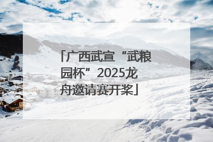 广西武宣“武粮园杯”2025龙舟邀请赛开桨