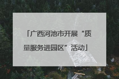 广西河池市开展“质量服务进园区”活动