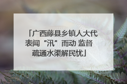 广西藤县乡镇人大代表闻“汛”而动 监督疏通水渠解民忧