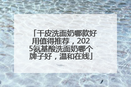 干皮洗面奶哪款好用值得推荐，2025氨基酸洗面奶哪个牌子好，温和在线