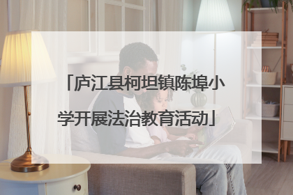 庐江县柯坦镇陈埠小学开展法治教育活动