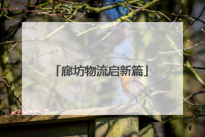 廊坊物流启新篇