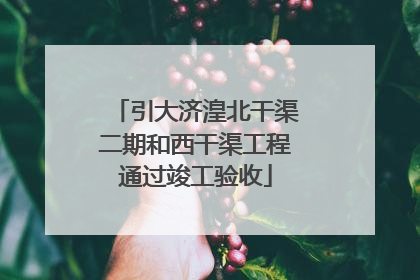 引大济湟北干渠二期和西干渠工程通过竣工验收