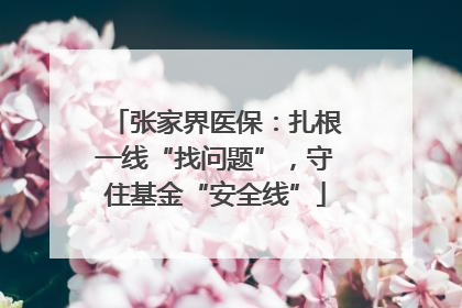 张家界医保：扎根一线“找问题”，守住基金“安全线”