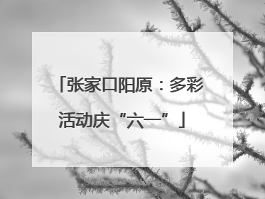 张家口阳原：多彩活动庆“六一”