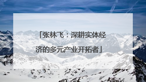 张林飞：深耕实体经济的多元产业开拓者