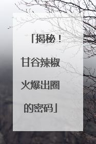 揭秘！甘谷辣椒火爆出圈的密码