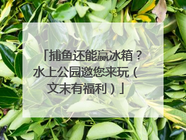 捕鱼还能赢冰箱？水上公园邀您来玩（文末有福利）