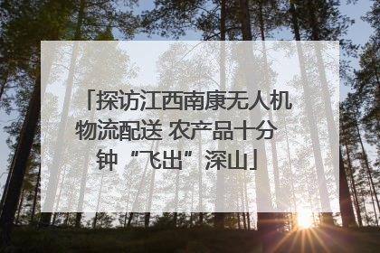 探访江西南康无人机物流配送 农产品十分钟“飞出”深山
