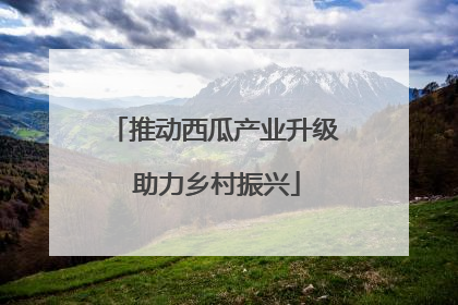 推动西瓜产业升级 助力乡村振兴