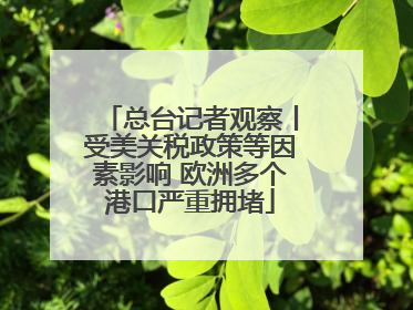 总台记者观察丨受美关税政策等因素影响 欧洲多个港口严重拥堵
