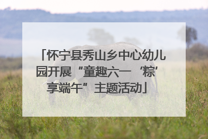 怀宁县秀山乡中心幼儿园开展“童趣六一‘粽’享端午”主题活动