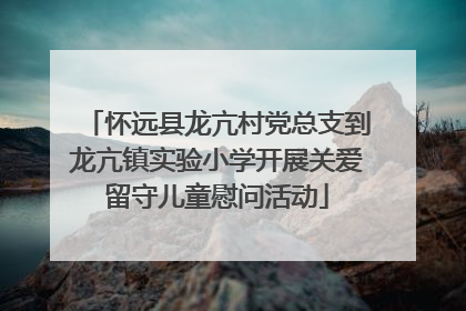 怀远县龙亢村党总支到龙亢镇实验小学开展关爱留守儿童慰问活动