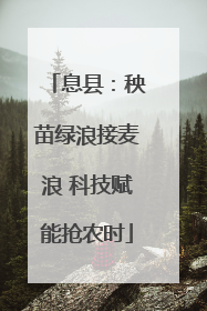息县：秧苗绿浪接麦浪 科技赋能抢农时