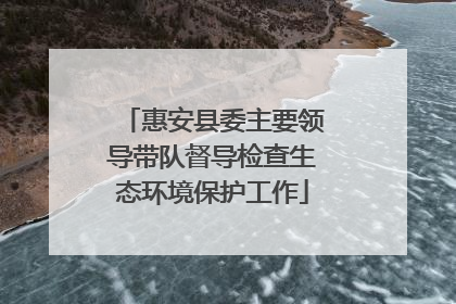 惠安县委主要领导带队督导检查生态环境保护工作