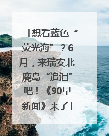 想看蓝色“荧光海”？6月，来瑞安北麂岛“追泪”吧！《90早新闻》来了