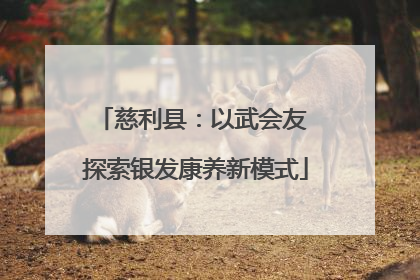 慈利县：以武会友 探索银发康养新模式