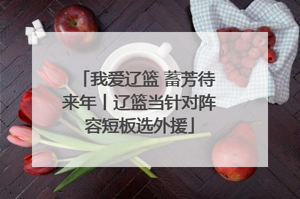 我爱辽篮 蓄芳待来年丨辽篮当针对阵容短板选外援