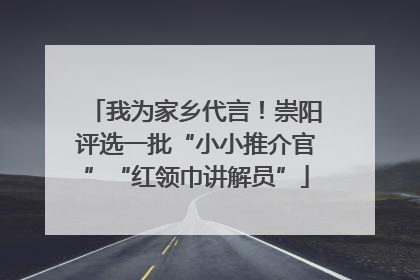 我为家乡代言！崇阳评选一批“小小推介官”“红领巾讲解员”