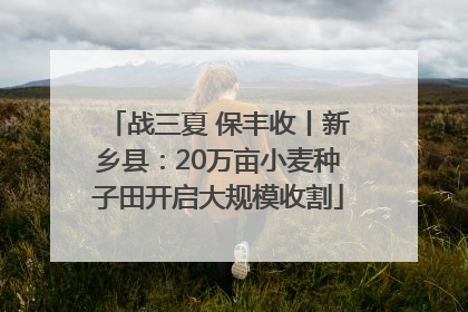 战三夏 保丰收丨新乡县：20万亩小麦种子田开启大规模收割
