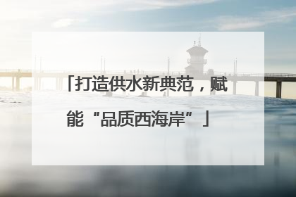 打造供水新典范，赋能“品质西海岸”