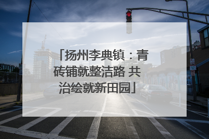 扬州李典镇：青砖铺就整洁路 共治绘就新田园