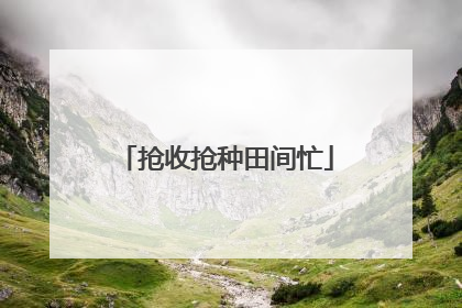 抢收抢种田间忙