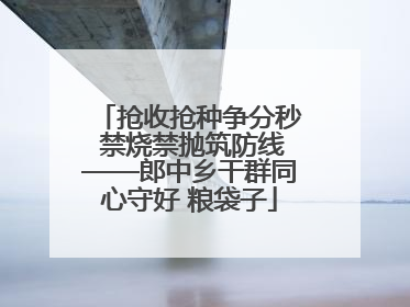 抢收抢种争分秒 禁烧禁抛筑防线——郎中乡干群同心守好 粮袋子