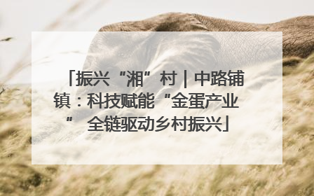 振兴“湘”村｜中路铺镇：科技赋能“金蛋产业” 全链驱动乡村振兴