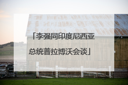 李强同印度尼西亚总统普拉博沃会谈