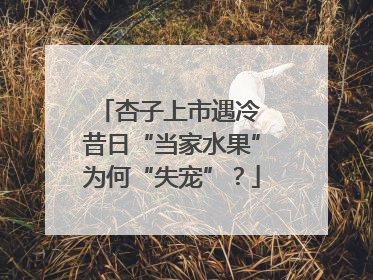 杏子上市遇冷 昔日“当家水果”为何“失宠”？