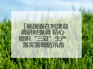 杨国强在利津县调研时强调 精心组织“三夏”生产 落实落细防汛备汛工作