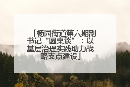 杨园街道第六期副书记“圆桌谈”：以基层治理实践助力战略支点建设