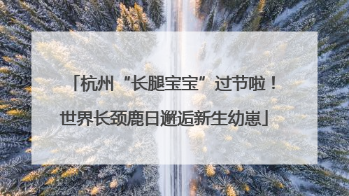 杭州“长腿宝宝”过节啦！世界长颈鹿日邂逅新生幼崽