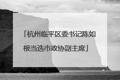 杭州临平区委书记陈如根当选市政协副主席