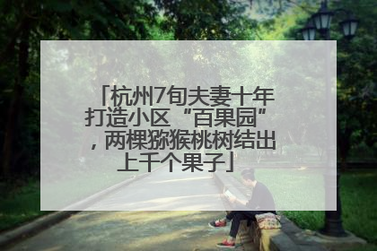 杭州7旬夫妻十年打造小区“百果园”，两棵猕猴桃树结出上千个果子
