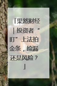 果然财经｜投资者“盯”上法拍金条，捡漏还是风险？