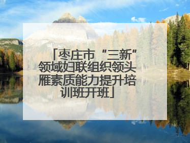 枣庄市“三新”领域妇联组织领头雁素质能力提升培训班开班
