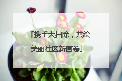 携手大扫除，共绘美丽社区新画卷