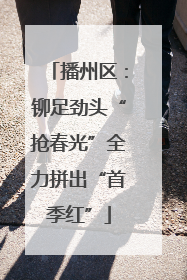 播州区：铆足劲头“抢春光”全力拼出“首季红”