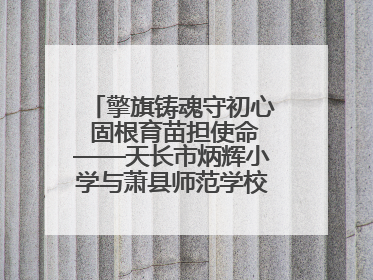 擎旗铸魂守初心 固根育苗担使命——天长市炳辉小学与萧县师范学校附属小学结对共建活动纪实