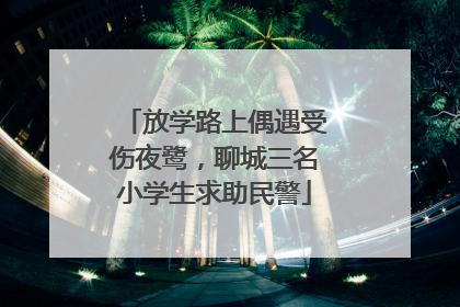 放学路上偶遇受伤夜鹭，聊城三名小学生求助民警