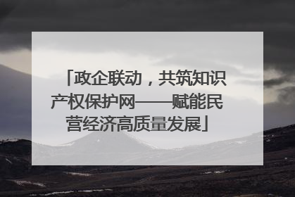 政企联动，共筑知识产权保护网——赋能民营经济高质量发展