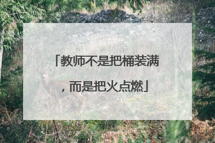 教师不是把桶装满，而是把火点燃