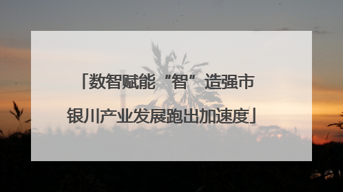数智赋能“智”造强市 银川产业发展跑出加速度